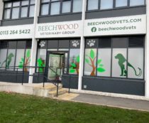 Vets Partners – Beechwood Vets